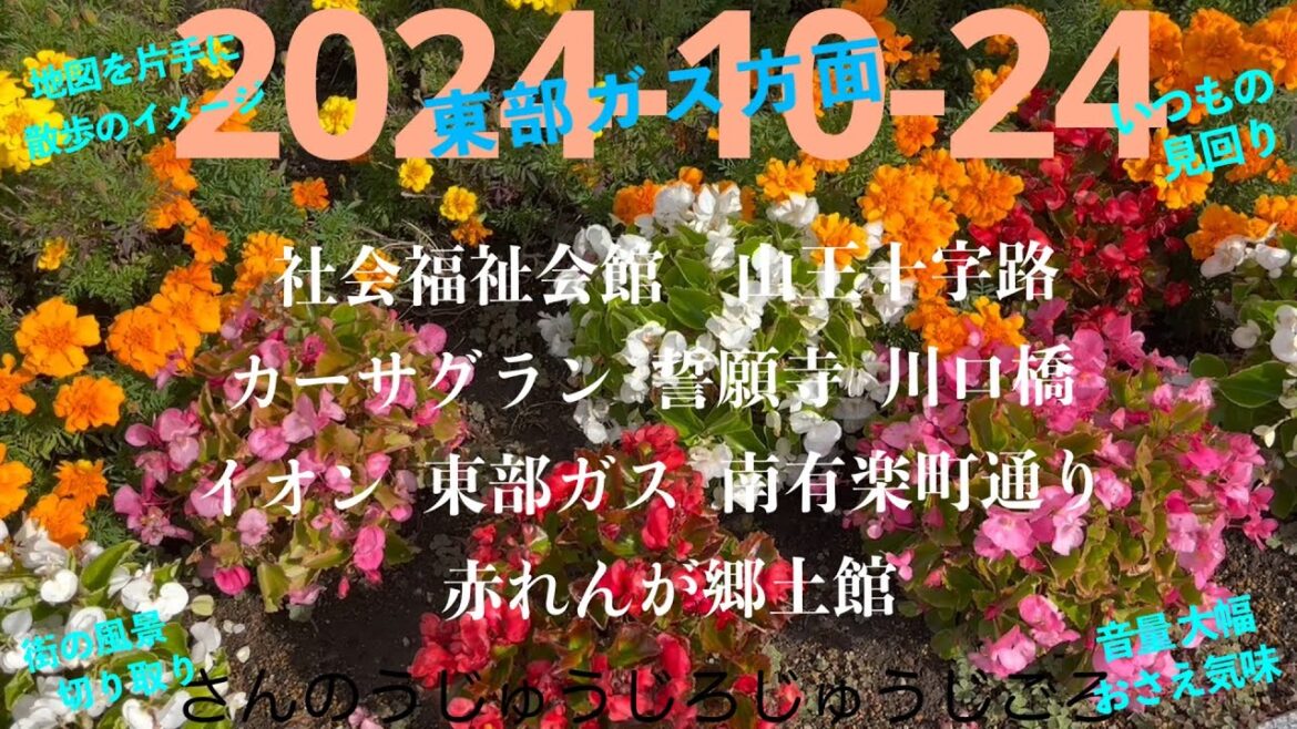 2024-10-24さんのうじゅうじろじゅうじごろ