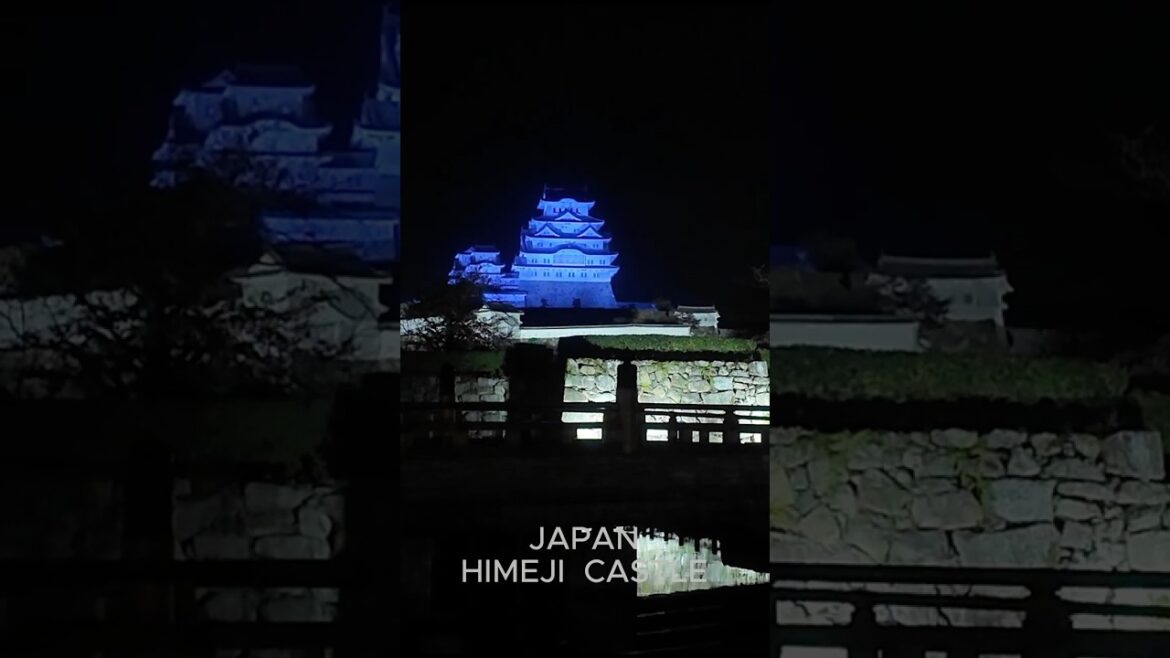 ★SHORTS014 일본의 히메지성 야경 ★SHORTS014 일본의 히메지성 야경