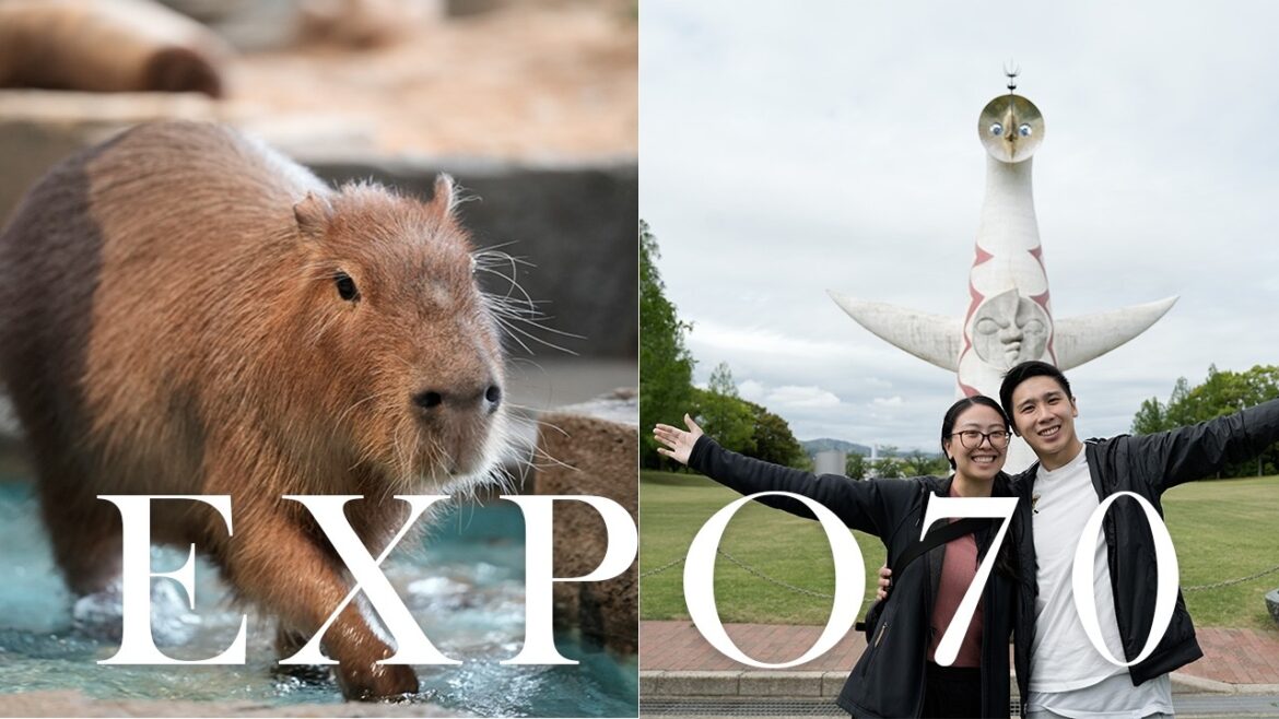 NIFREL, Tower of The Sun and EXPO70 Day Trip | The Japans Travel Vlog 2024 | EP19 NIFREL, Tower of The Sun and EXPO70 Day Trip | The Japans Travel Vlog 2024 | EP19