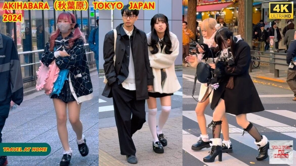4k hdr japan travel 2024 | Walk in Akihabara(秋葉原)Tokyo Japan | Relaxing Natural City ambience 4k hdr japan travel 2024 | Walk in Akihabara(秋葉原)Tokyo Japan | Relaxing Natural City ambience