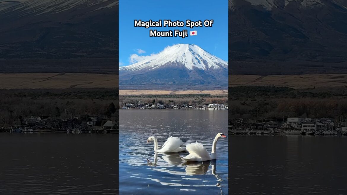 magical moment by Mount Fuji, Japan 🥹 #japantravel #japanvlog #mountfujiview