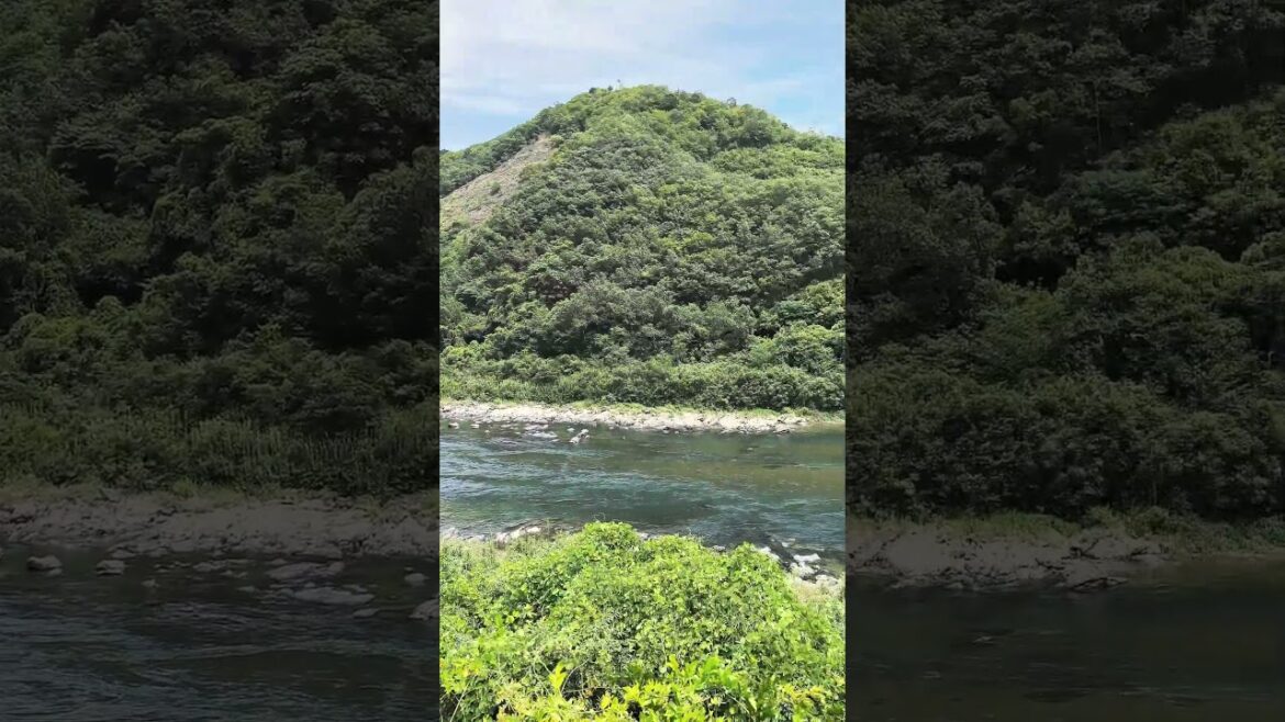 Shimanto River #shikoku