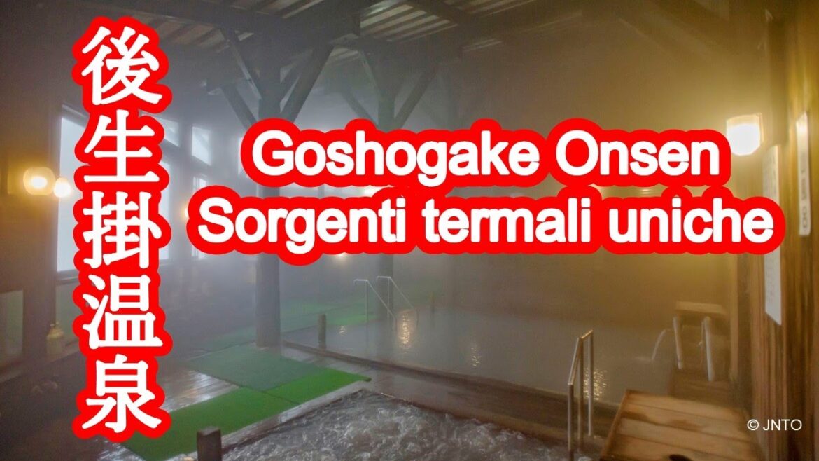 Goseikake Onsen (ad Akita): fanghi, bagni di vapore ed esperienze uniche di sorgente calda.