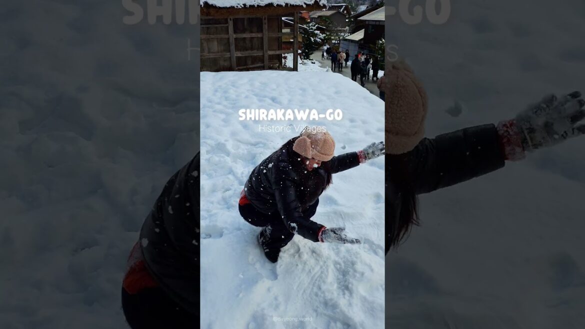 삿포로 여행, 비싸고 멀다면? 나고야에서 당일치기 가능한 설국 동화마을 ❄️☃️ 삿포로 여행, 비싸고 멀다면? 나고야에서 당일치기 가능한 설국 동화마을 ❄️☃️