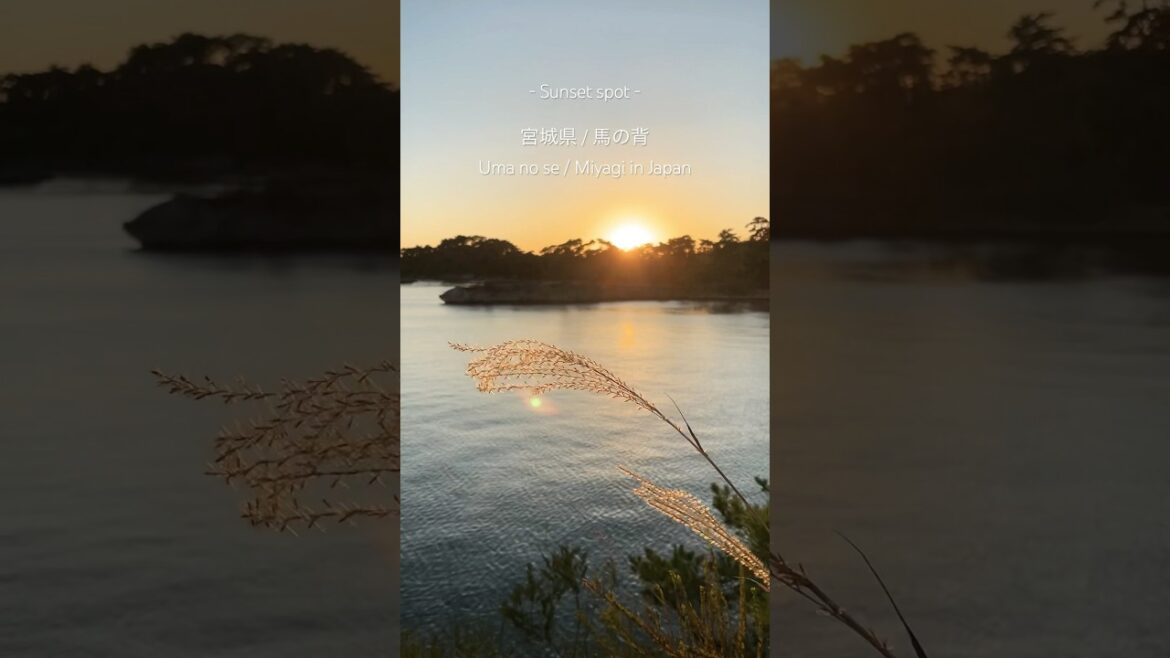 【夕日スポット】宮城県にある「馬の背」という夕日スポットに行ってきたよ🌇ゴツゴツした道の先にある絶景…最高すぎた! 【夕日スポット】宮城県にある「馬の背」という夕日スポットに行ってきたよ🌇ゴツゴツした道の先にある絶景…最高すぎた!