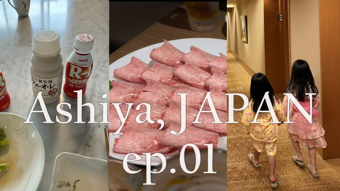 오사카에서 20분, 아시야Ashiya 브이로그 01  |  야키니쿠, 아리마온천