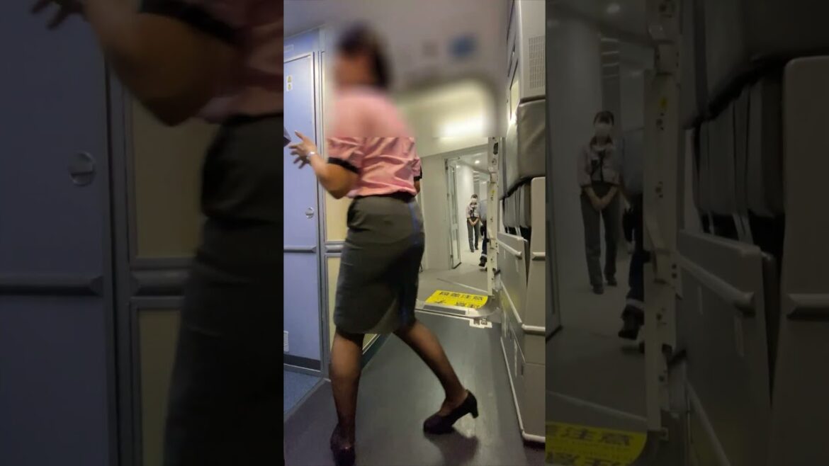 ANA CAチーフ 光のドアオープン