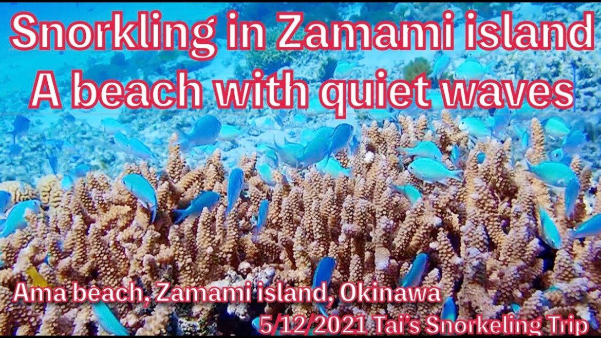 【#51 Tai’s Snorkeling Trip in Okinawa】Ama beach, Zamami island, Okinawa, Japan 【#51 Tai’s Snorkeling Trip in Okinawa】Ama beach, Zamami island, Okinawa, Japan