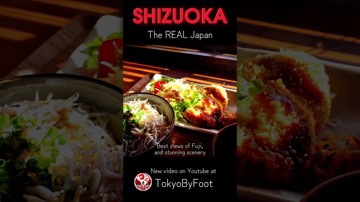 Exploring Shizuoka: Shrines, Mount Fuji, and Local Delights 静岡の旅