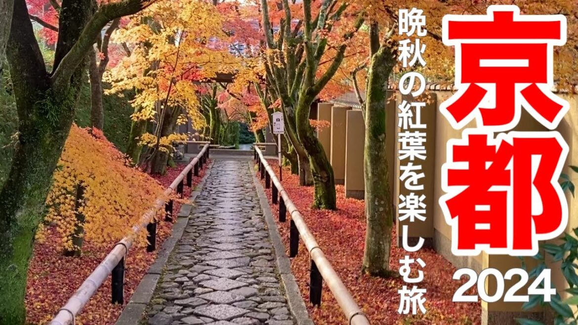 京都紅葉2024🍁穴場の寺社3選を巡る京都紅葉癒しの旅！