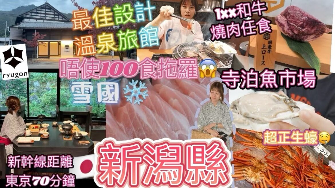 東京近郊必去🇯🇵最佳設計溫泉旅館❄️龍言Ryugon ❄️1xx 港幣和牛燒肉任食😱魚市場唔使100食拖羅🚙日本長岡自駕遊🐟寺泊魚市場🗻清津峡 道の駅 🎇長岡煙火館 一泊兩食溫泉