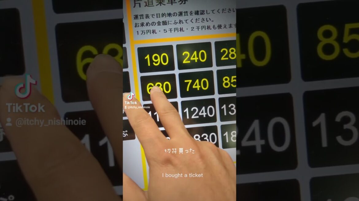 小豆島から丸亀へ行こう!#丸亀旅行 #小豆島#小豆島フェリー #猪熊弦一郎美術館#一鶴#丸亀#marugame #marugamestop#japan #travel #trip #kagawa