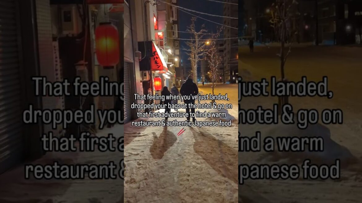 The Red Lanterns of Japan 🇯🇵 Who loves Japanese Food? #japanesefood #japanesecafe #sapporo #japan The Red Lanterns of Japan 🇯🇵 Who loves Japanese Food? #japanesefood #japanesecafe #sapporo #japan