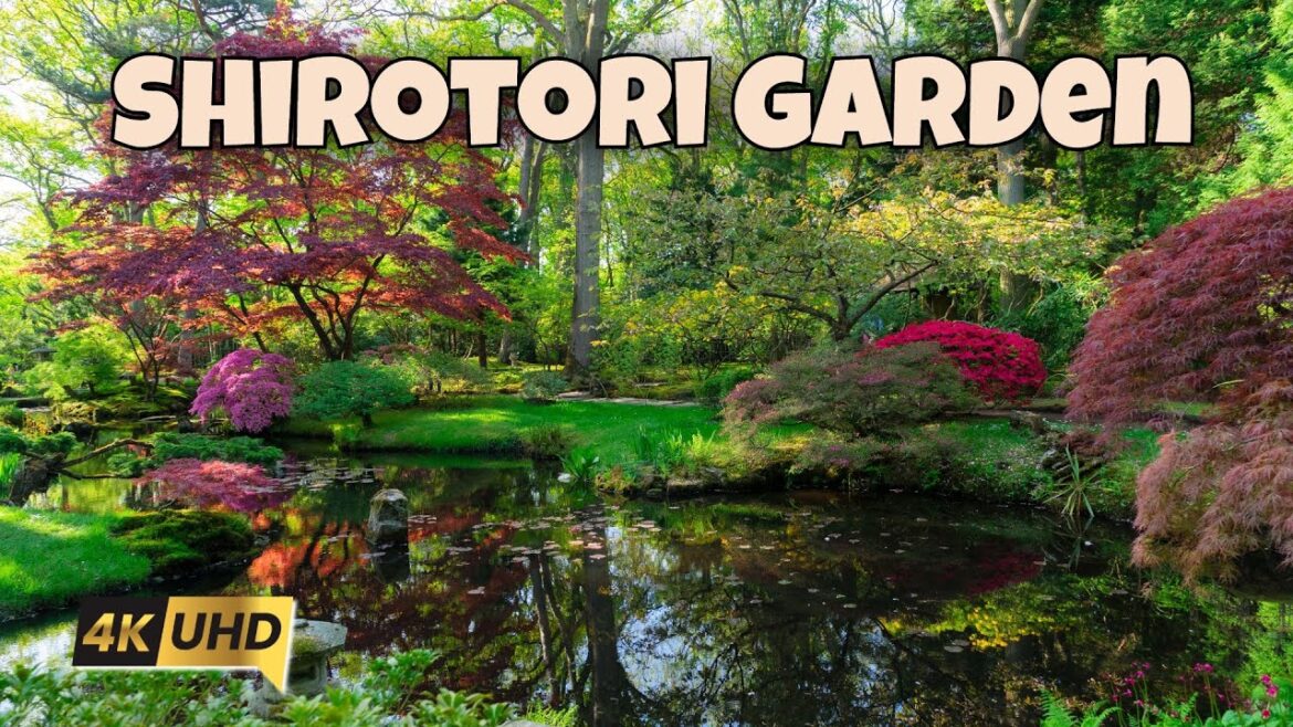 白鳥庭園 Shirotori Garden Walking Tour | Discover Nagoya’s Peaceful Japanese Oasis