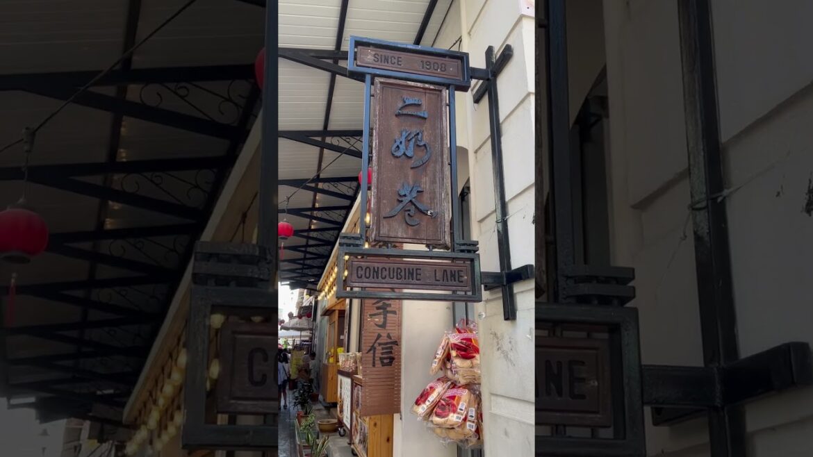 #concubinestreet #ipoh #follow #travel #pleaselikeandsubscribe #shortvideo #viralvideo