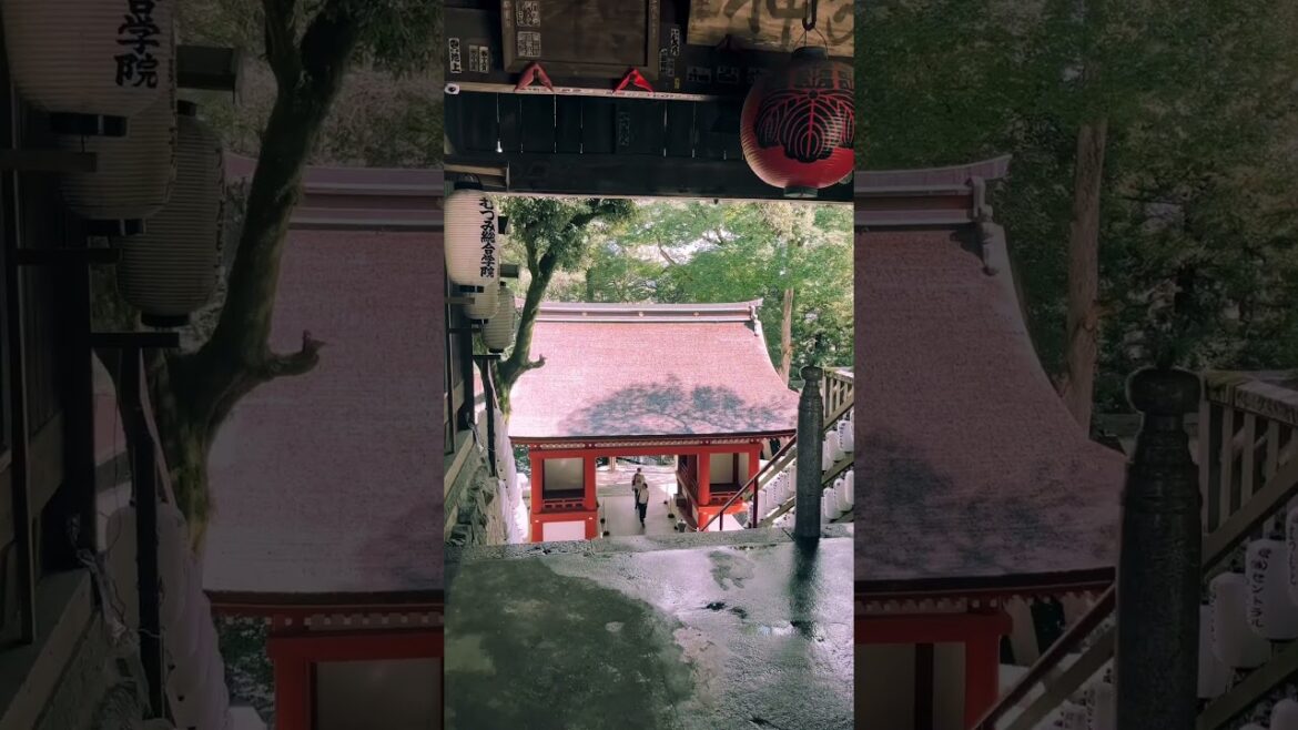 【Japan】 |Kibitsu Shrine (Okayama)/ 吉備津建神社.
