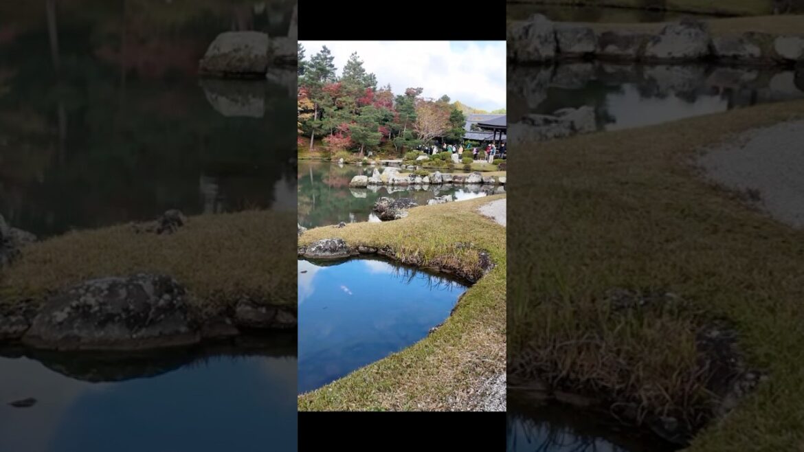 ★SHORTS013 일본 교토의 텐류지 ★SHORTS013 일본 교토의 텐류지