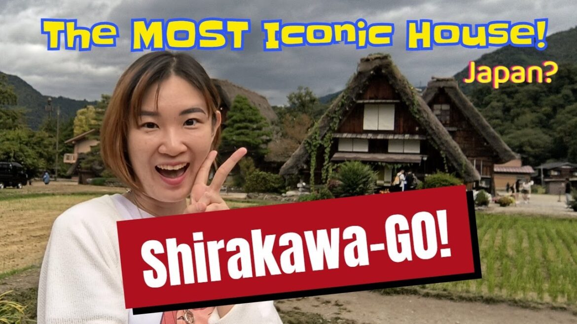 Amazing Bus to SHIRAKAWAGO from Nagoya