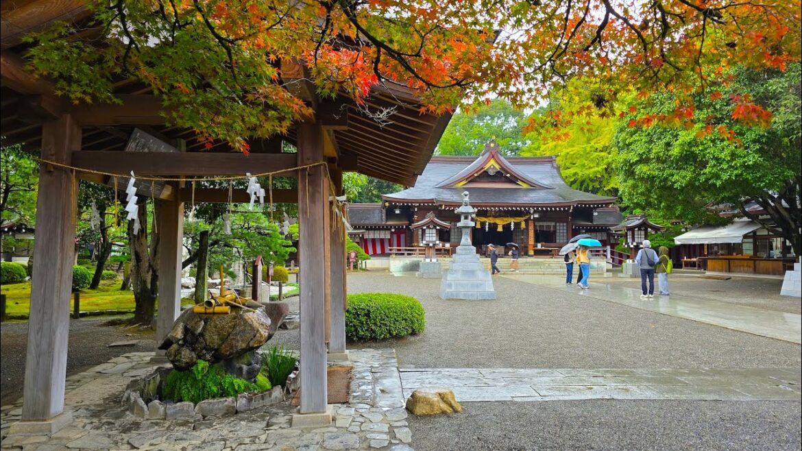 Japan part 6. Kumamoto, Kumamoto Castle, Suizenji Garden.
