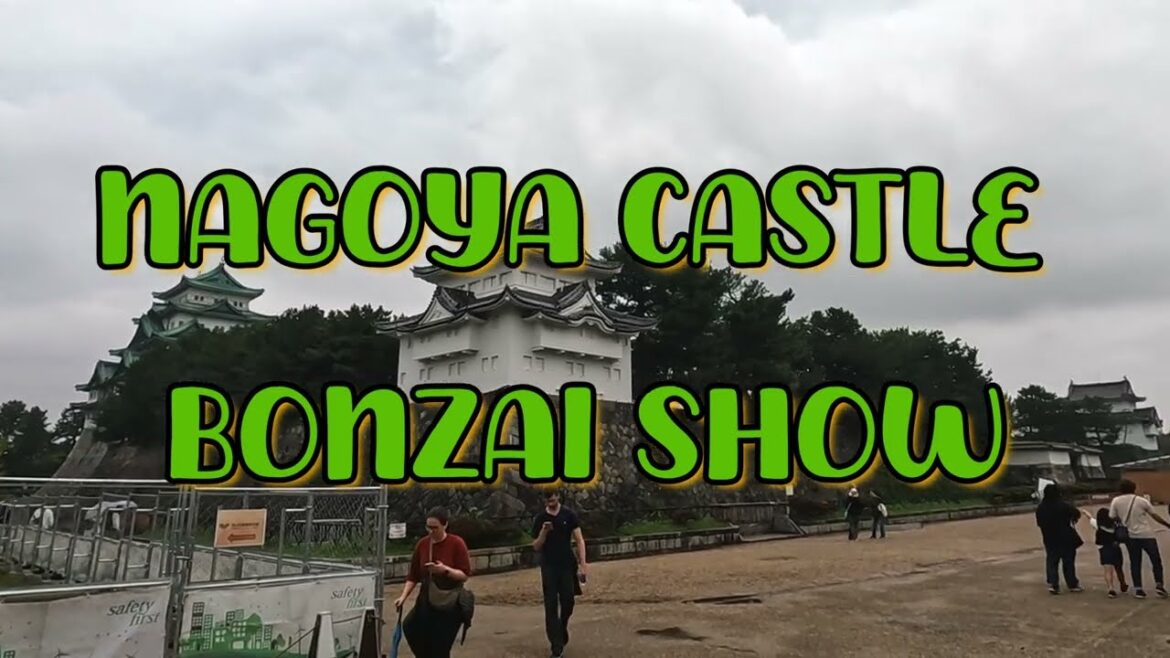 the Art of Bonsai at Nagoya Castle. What’s the Meaning Behind Bonsai ?