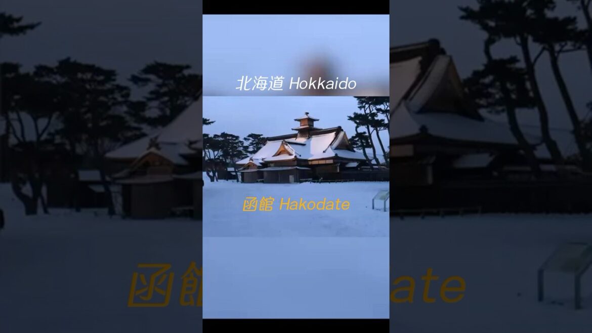 【日本北海道 EP3】北海道跨年Day3│搭JR⛄至函館、五稜郭公園、函館朝市、金森倉庫群、八幡坂 #小丑漢堡 #hokkaido #hakodate  #japantravel