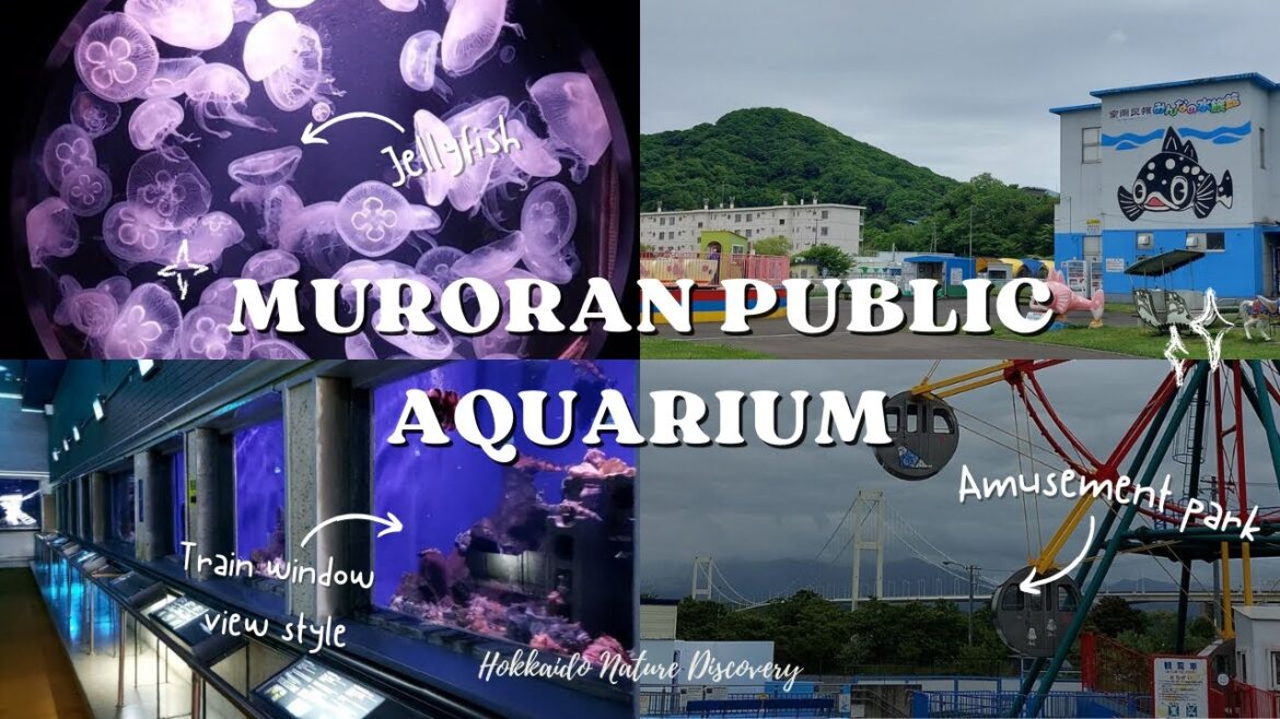 Muroran Public Aquarium: Hokkaido’s Hidden Gem Muroran Public Aquarium: Hokkaido's Hidden Gem