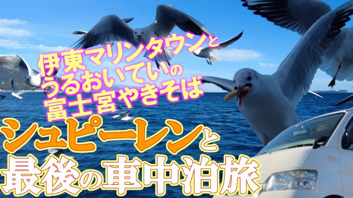 【シュピーレンと最後の車中泊旅】道の駅伊東マリンタウンで車中泊と絶品うるおい焼きそば 【シュピーレンと最後の車中泊旅】道の駅伊東マリンタウンで車中泊と絶品うるおい焼きそば