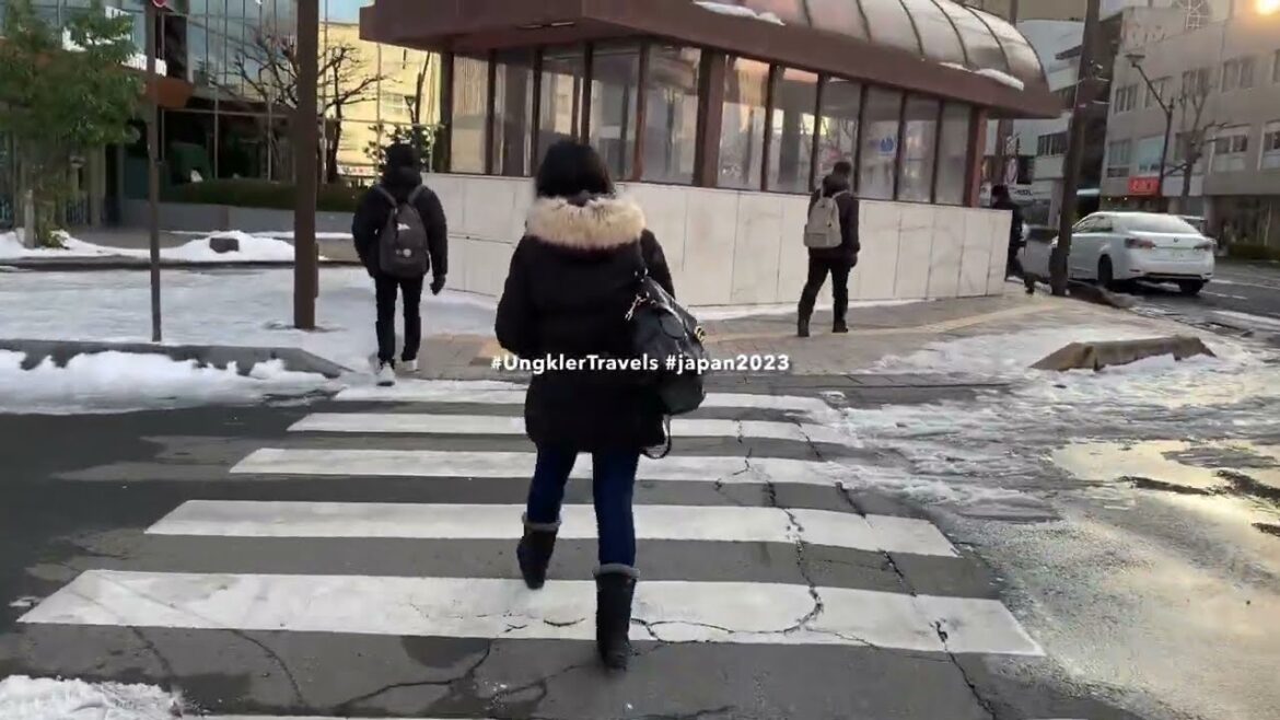 Ungkler Travels in 60 Seconds | Let's go to our next destination: Nagano!