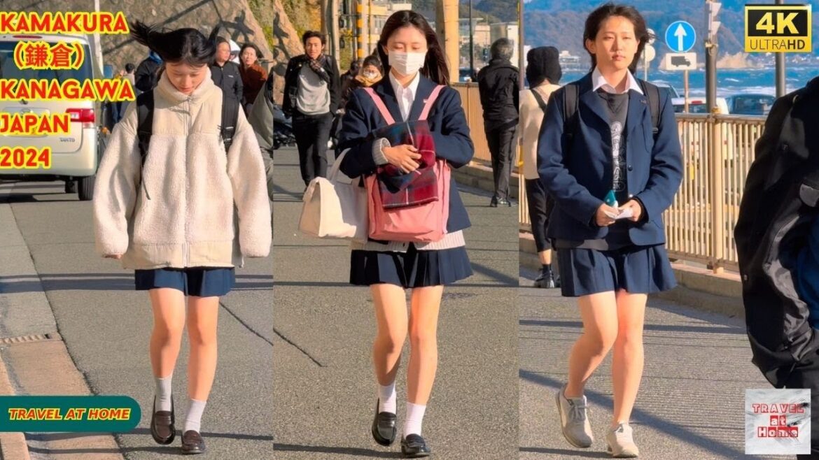 4k hdr japan travel 2024 | Walk in Kamakura(鎌倉)Kanagawa japan | Relaxing Natural City ambience 4k hdr japan travel 2024 | Walk in Kamakura(鎌倉)Kanagawa japan | Relaxing Natural City ambience