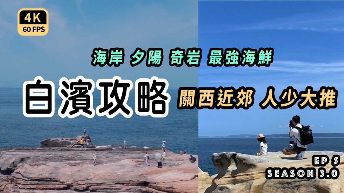 Mal|〖和歌山白濱(上) EP5〗和歌山白濱交通與景點攻略 關西最強海鮮市場 1500萬年岩石海岸   4K60p Travel Mal|〖和歌山白濱(上) EP5〗和歌山白濱交通與景點攻略 關西最強海鮮市場 1500萬年岩石海岸   4K60p Travel