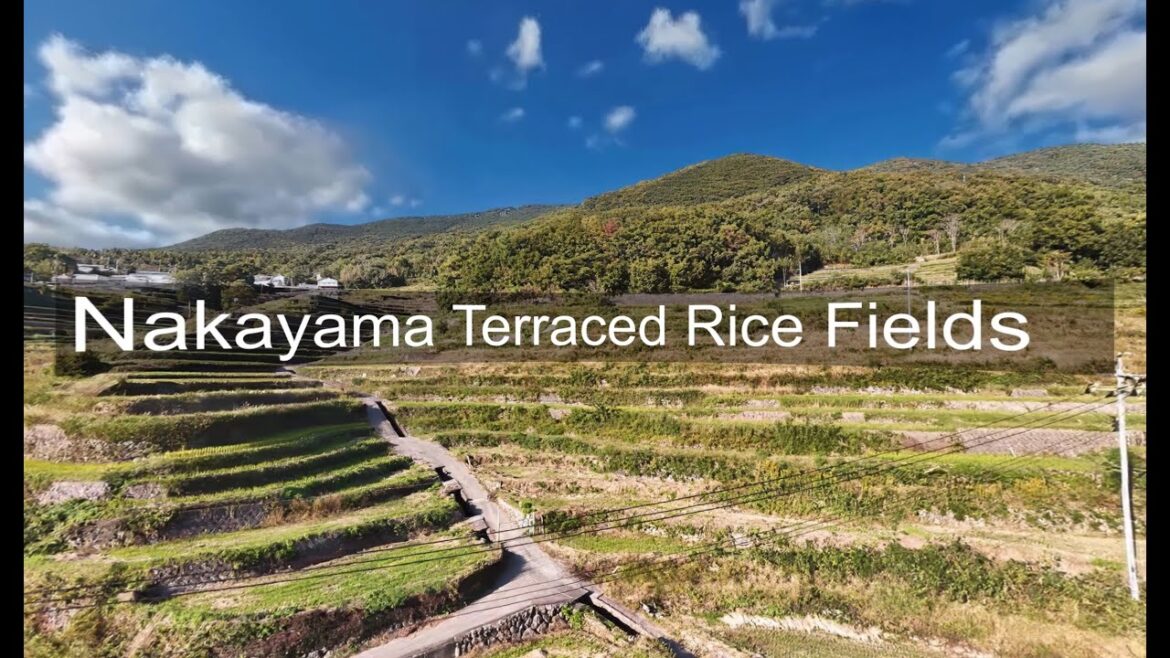 Nakayama Senmaida (Thousand Rice Terraces)