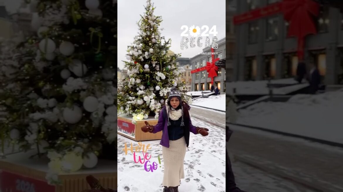 2024 Recap Video | Travel See Write | Arctic to Antarctica | East to West | Hokkaido to Patagonia