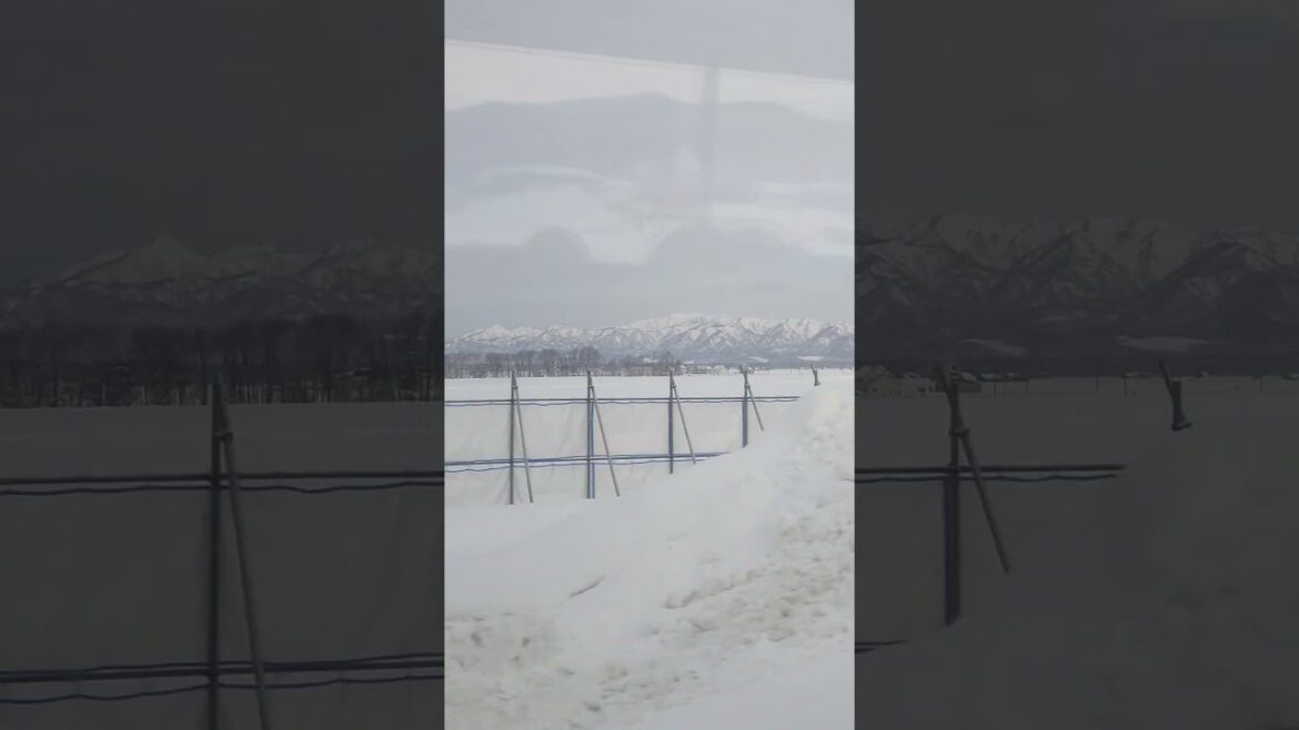 Train from Sapporo to Asahikawa | Beautiful Mountain Range Along The Journey