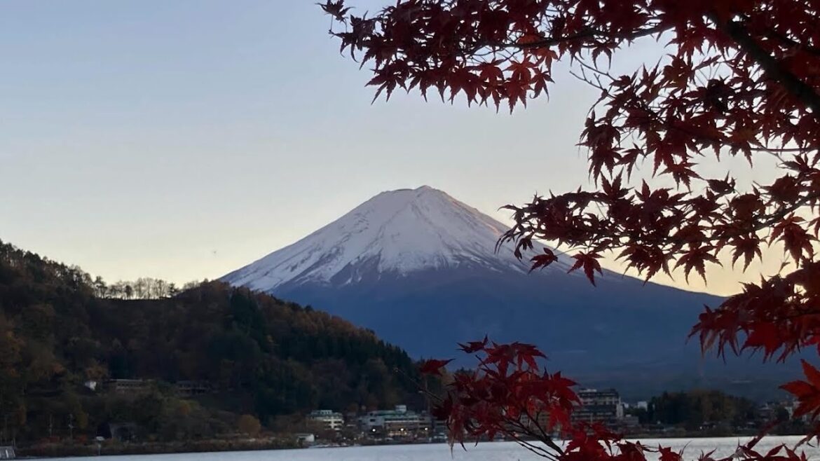 Höst Vid Fuji - 富士山の秋