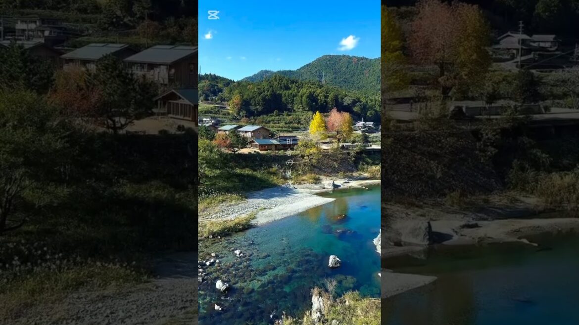 Japan countryside 🇯🇵 #nature #naturelovers #japan #countryside #japanese #japantravel