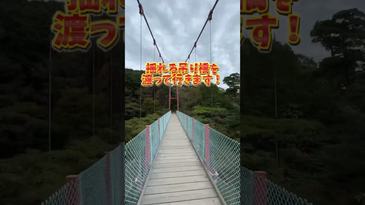 「御朱印集めの旅・後編」スタート!🚗💨関越道・長岡ICから約30分、長岡市にある「高龍神社」& 北陸道・三条燕ICから約30分の「国上寺」へ。 #新潟ドライブ 「御朱印集めの旅・後編」スタート!🚗💨関越道・長岡ICから約30分、長岡市にある「高龍神社」& 北陸道・三条燕ICから約30分の「国上寺」へ。 #新潟ドライブ