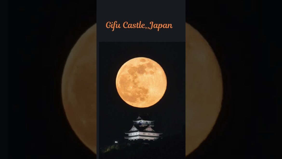 Japan Mount Fuji- Kyoto #travel #explore #trip #japan #japantravel #vacation #vacationvlogs #shorts