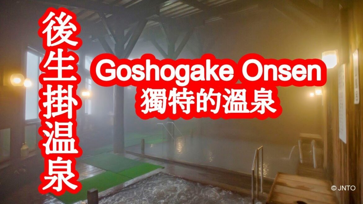 Goseikake 溫泉(位於秋田縣):溫泉的祝福 – 泥浴、蒸氣浴和獨特的溫泉體驗。 Goseikake 溫泉(位於秋田縣):溫泉的祝福 - 泥浴、蒸氣浴和獨特的溫泉體驗。