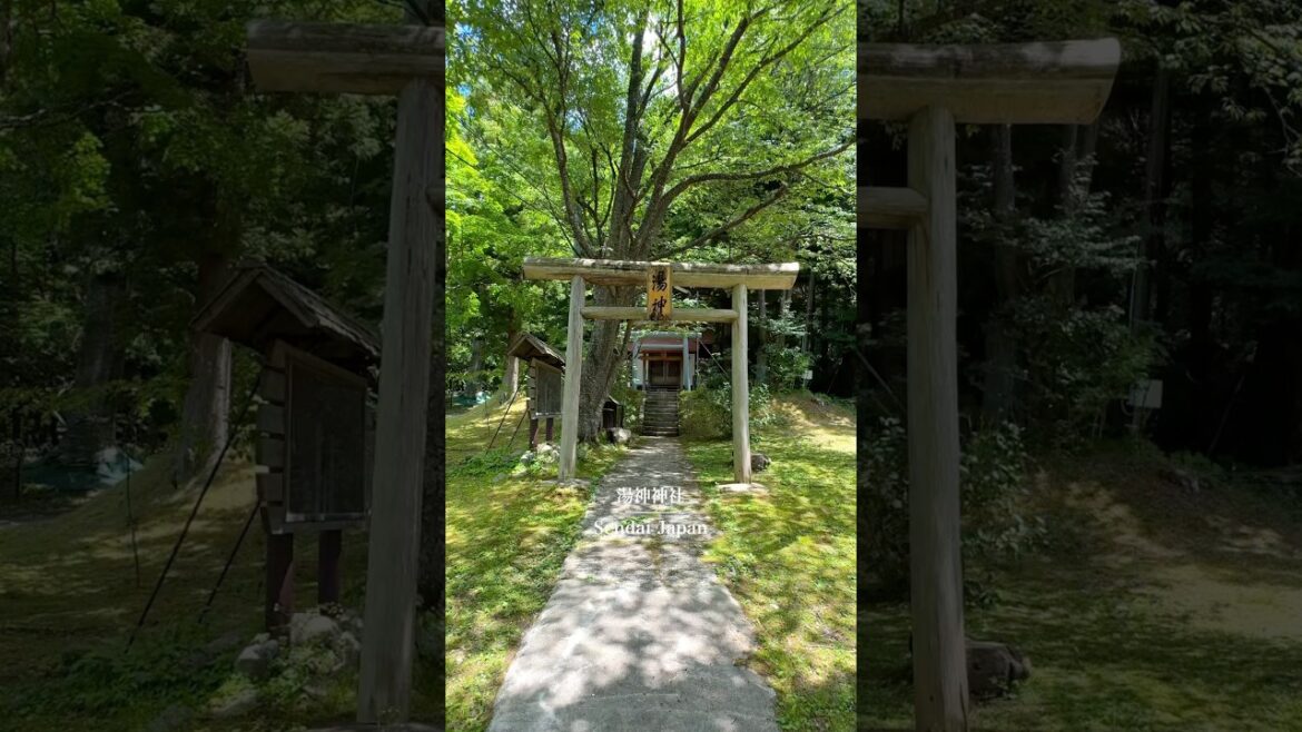 【仙台旅行】ココ知ってる？縁結びの神様がいるパワースポット🌳#仙台旅行 #仙台観光 #宮城旅行  #神社 #shrine #作並 #japantravel #japantrip #shorts