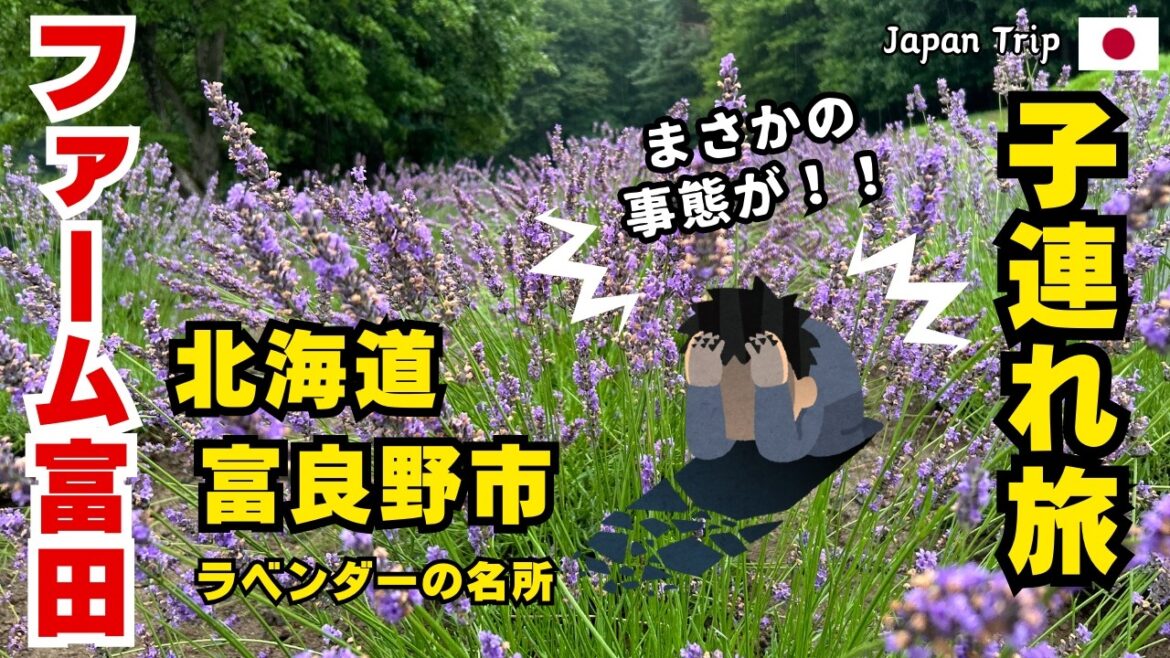 【北海道：富良野】衝撃！念願のファーム富田でまさかの出来事が！絶景が広がるジェットコースターの路も全行程紹介！