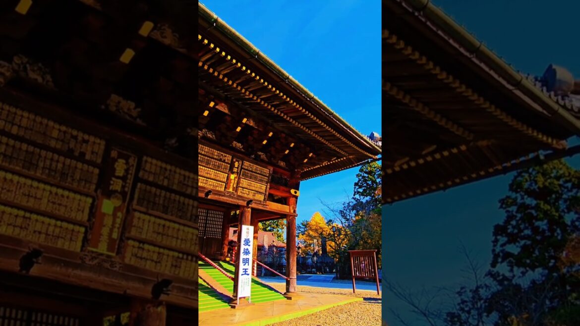 Narita-San Shinshoji /⛩️🇯🇵 成田山新勝寺 powerful temple#japan #japantravel #japantrip  #japan #narita
