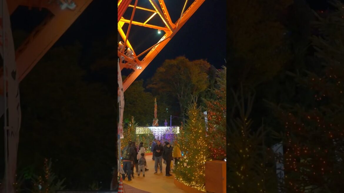 Tokyo Tower’s Magical Christmas Market Lights Up the Night! 🎄✨#shorts #japan #クリスマス #tokyotower