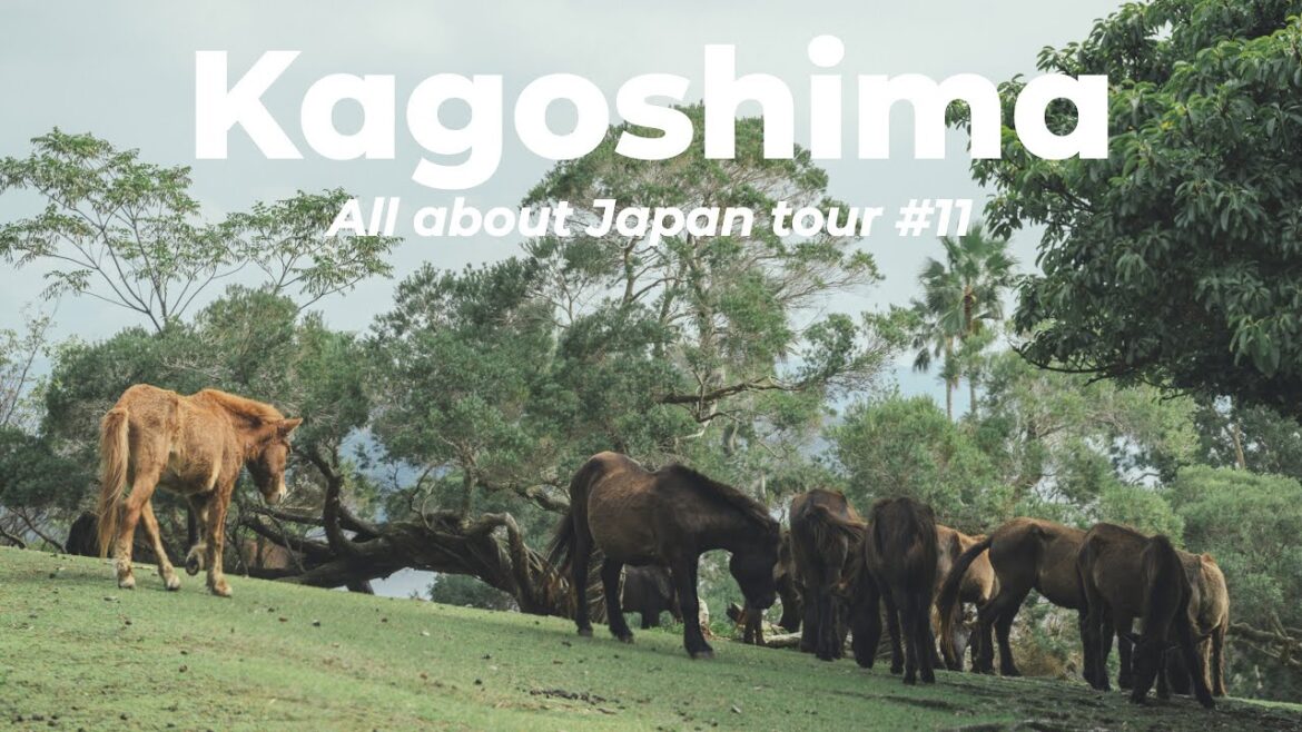 All about Japan: Traveling to 47 Prefectures #11 Kagoshima