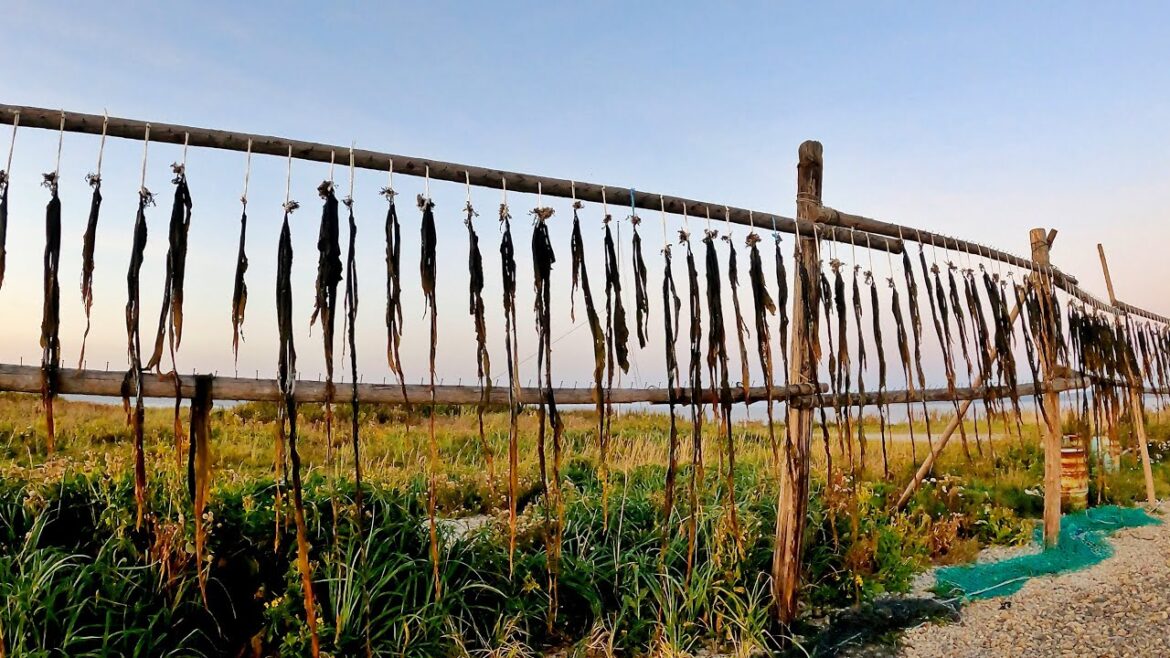 Hokkaido 10, Wakkanai 6 - 北海道、稚内 6