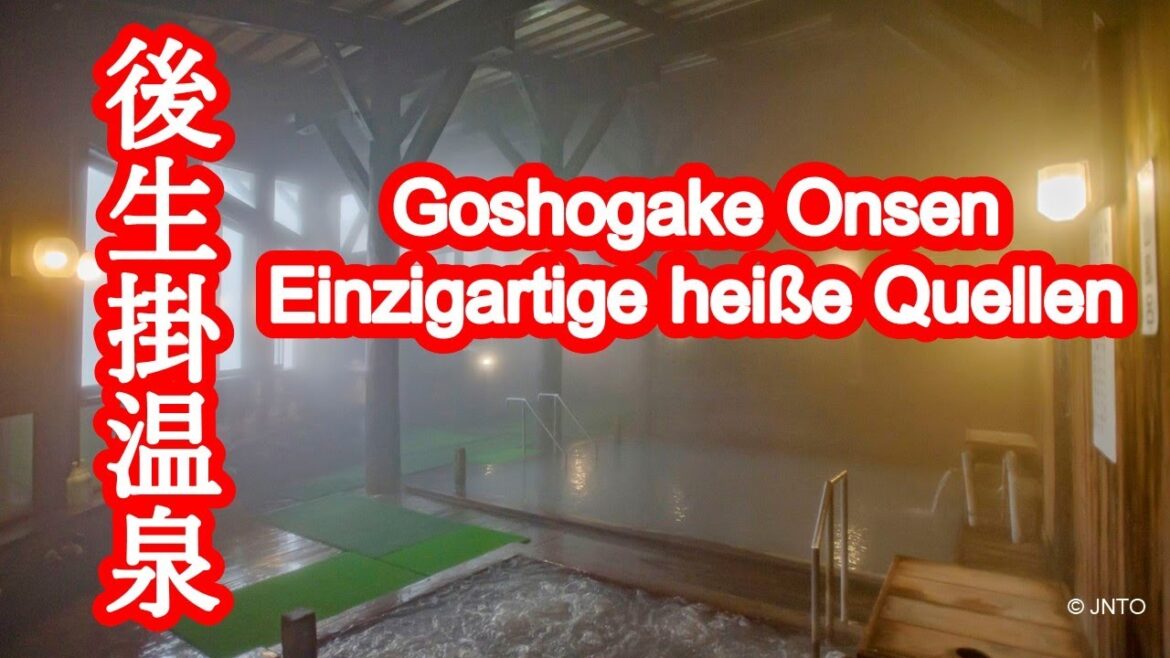 Goseikake Onsen (in Akita): Schlammbäder, Dampfbäder und einzigartige Erfahrungen mit heißen Quellen Goseikake Onsen (in Akita): Schlammbäder, Dampfbäder und einzigartige Erfahrungen mit heißen Quellen