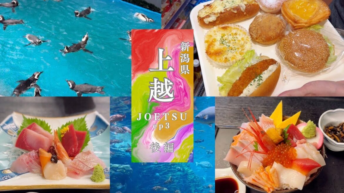 【旅行】上越｜後編｜#56
