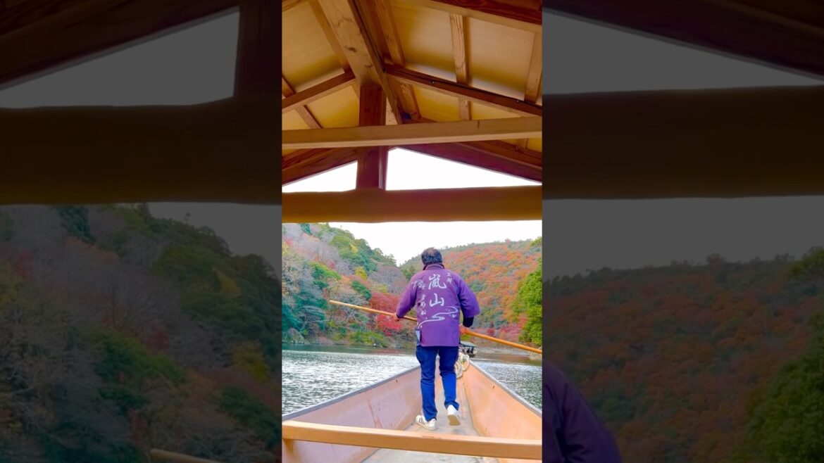 JAPAN🇯🇵Kyoto日本の絶景「京都嵐山屋形船」観光旅行でおすすめ JAPAN🇯🇵Kyoto日本の絶景「京都嵐山屋形船」観光旅行でおすすめ