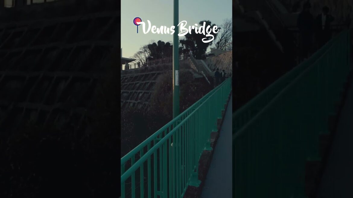 This is why Kobe was my favorite city in Japan