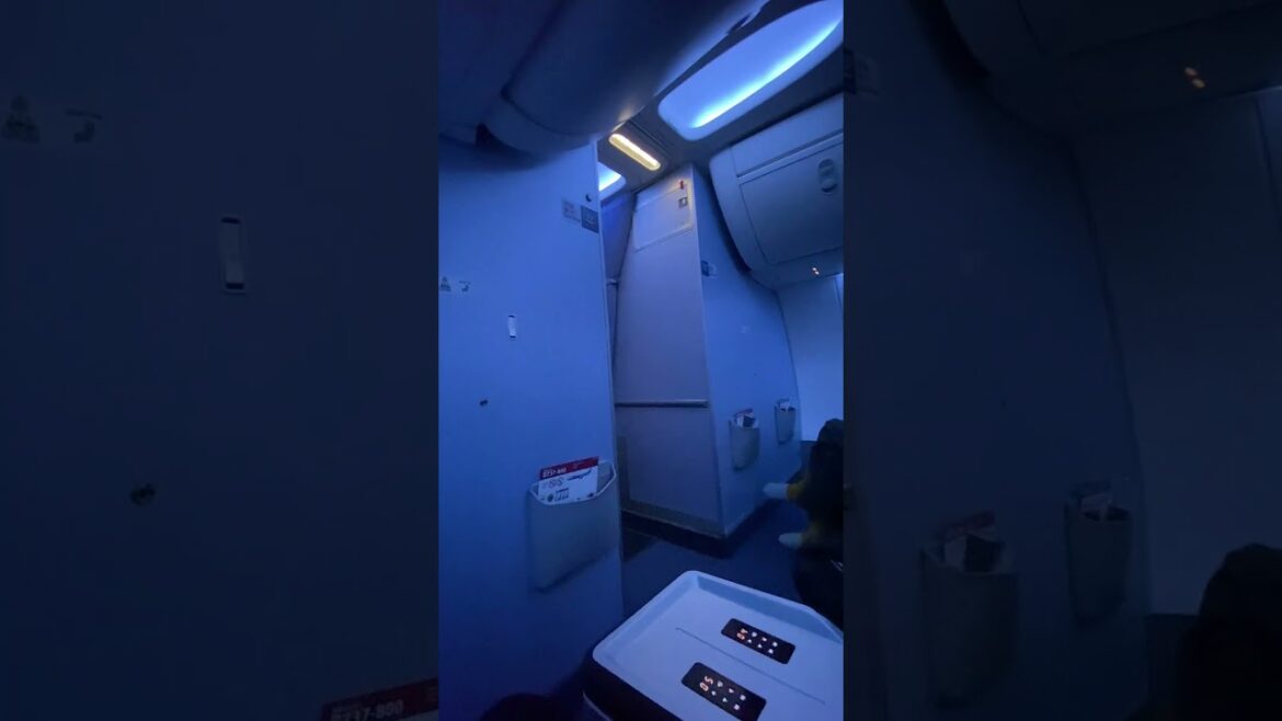 ANA CAとファーストクラスで着陸