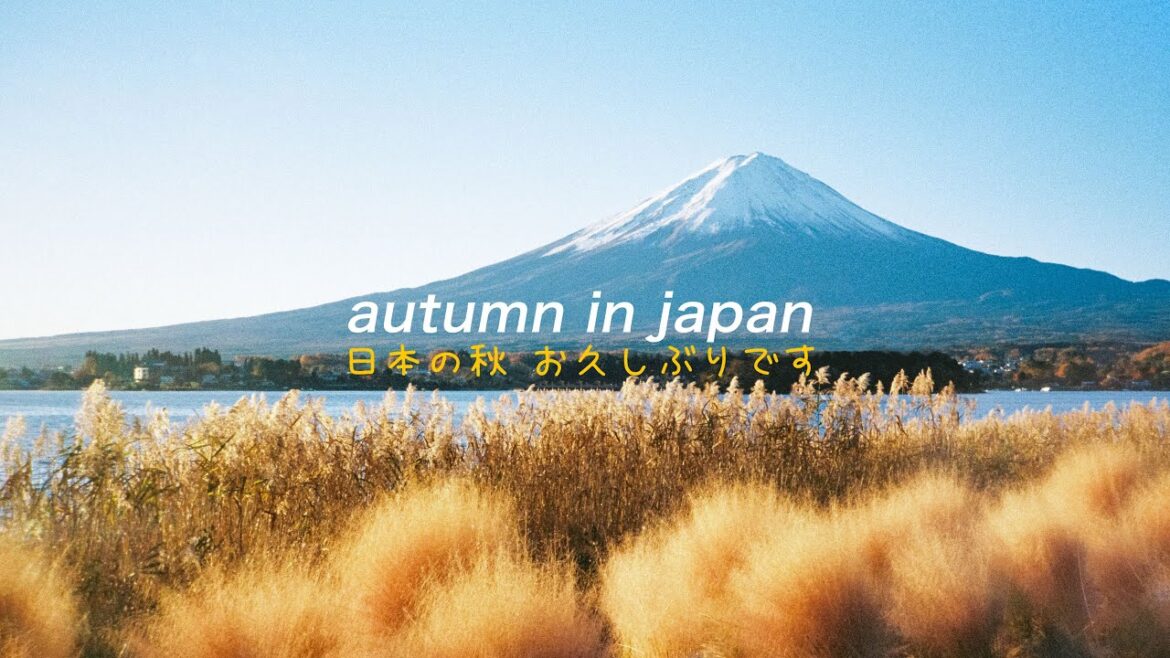 日本の秋 | autumn in japan